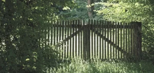 Grenzen stellen