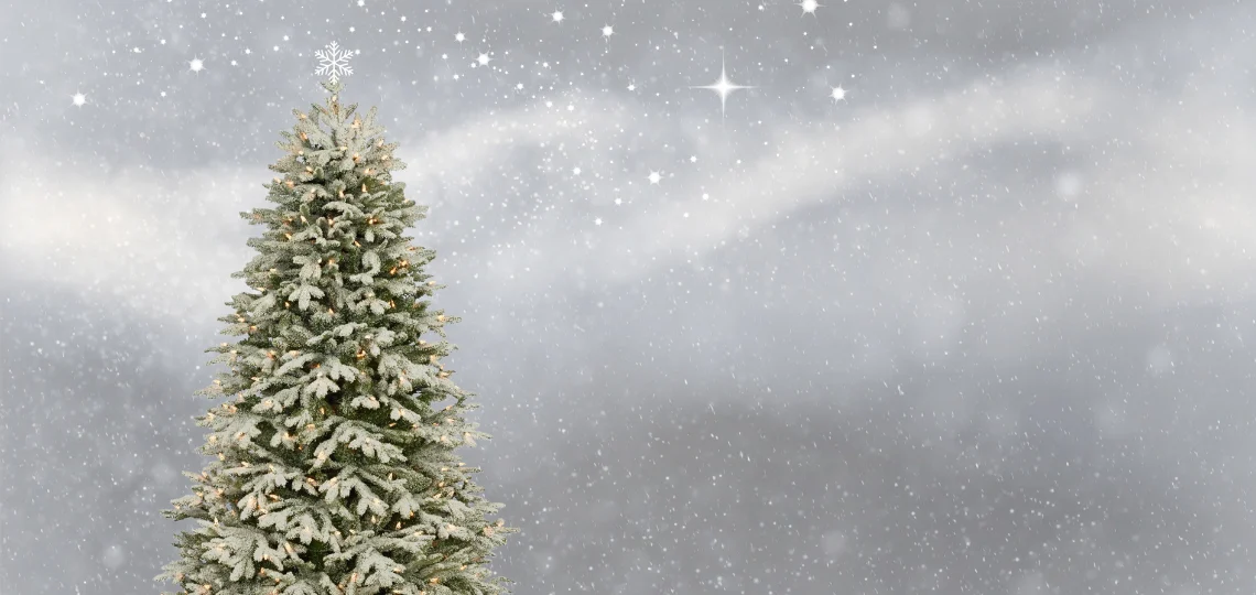 Lees meer over het artikel Kerst, verplichting of ontspanning?